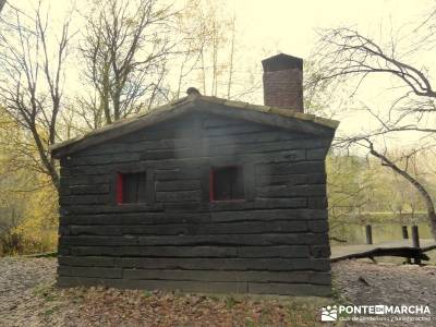 Bosque de Finlandia - Valle de El Paular;tienda de viajes campamentos de verano de la comunidad de m